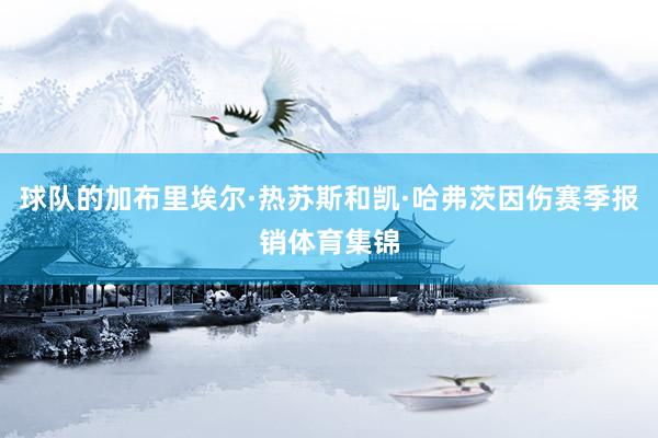 球队的加布里埃尔·热苏斯和凯·哈弗茨因伤赛季报销体育集锦