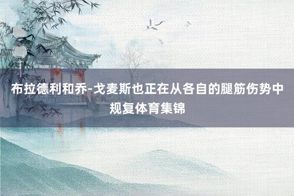布拉德利和乔-戈麦斯也正在从各自的腿筋伤势中规复体育集锦