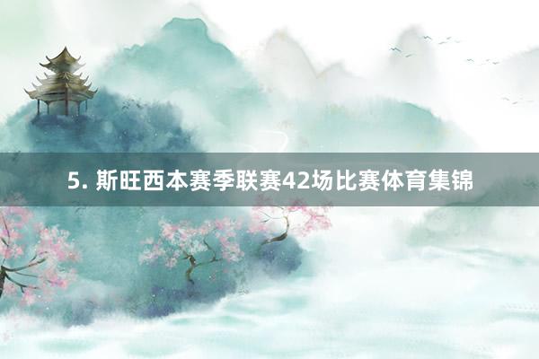 5. 斯旺西本赛季联赛42场比赛体育集锦