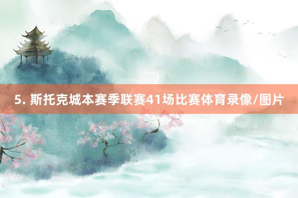 5. 斯托克城本赛季联赛41场比赛体育录像/图片