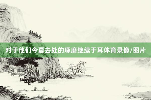 对于他们今夏去处的琢磨继续于耳体育录像/图片