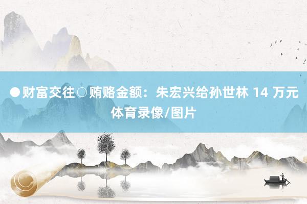 ●财富交往○贿赂金额：朱宏兴给孙世林 14 万元体育录像/图片