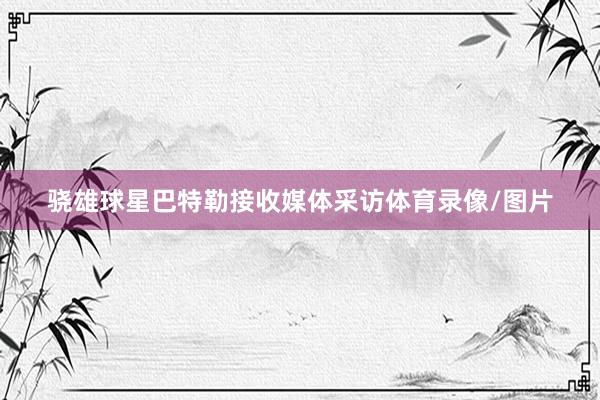 骁雄球星巴特勒接收媒体采访体育录像/图片