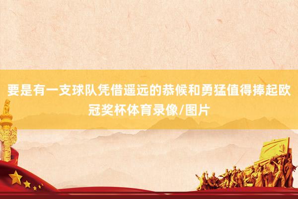 要是有一支球队凭借遥远的恭候和勇猛值得捧起欧冠奖杯体育录像/图片