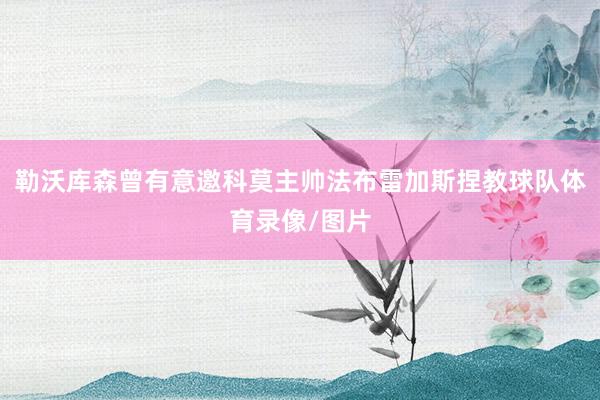 勒沃库森曾有意邀科莫主帅法布雷加斯捏教球队体育录像/图片