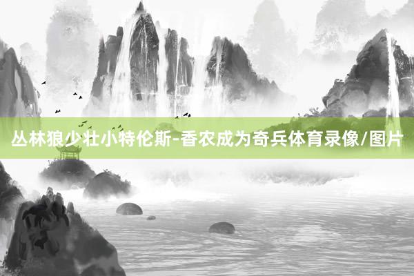 丛林狼少壮小特伦斯-香农成为奇兵体育录像/图片