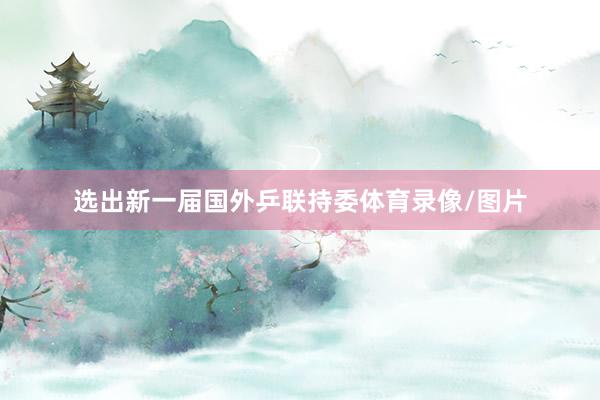 选出新一届国外乒联持委体育录像/图片