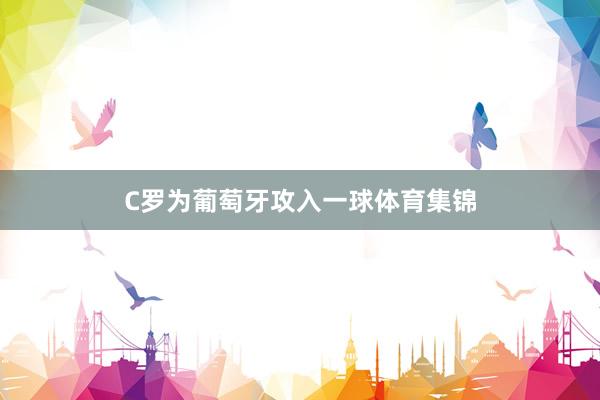 C罗为葡萄牙攻入一球体育集锦