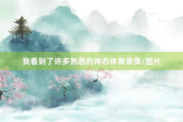 我看到了许多熟悉的神态体育录像/图片