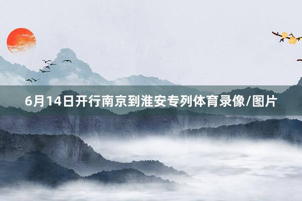 6月14日开行南京到淮安专列体育录像/图片