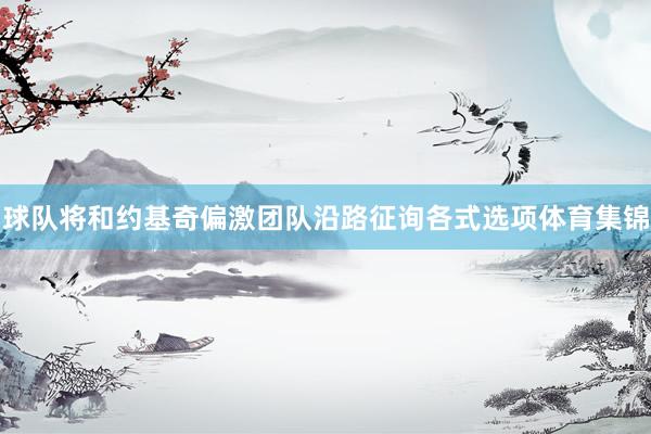 球队将和约基奇偏激团队沿路征询各式选项体育集锦