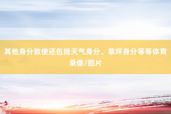其他身分致使还包括天气身分、草坪身分等等体育录像/图片