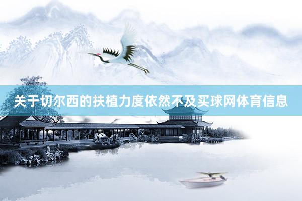 关于切尔西的扶植力度依然不及买球网体育信息