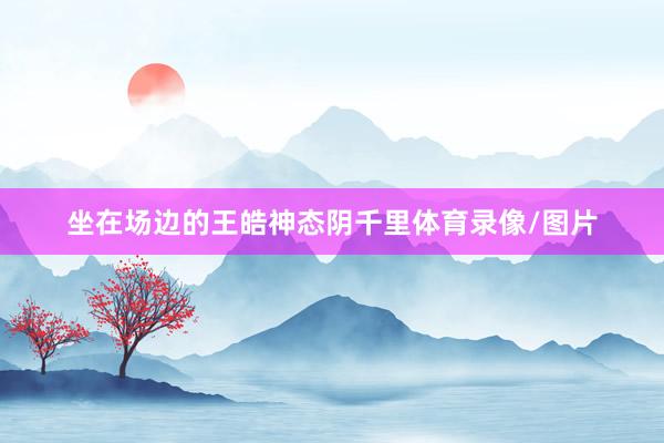 坐在场边的王皓神态阴千里体育录像/图片