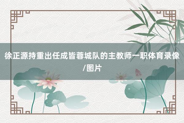 徐正源持重出任成皆蓉城队的主教师一职体育录像/图片