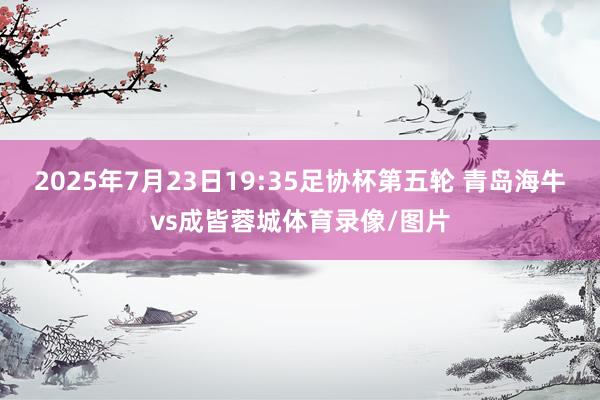 2025年7月23日19:35足协杯第五轮 青岛海牛vs成皆蓉城体育录像/图片