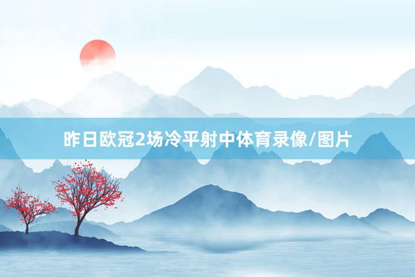 昨日欧冠2场冷平射中体育录像/图片