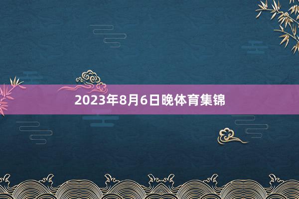 2023年8月6日晚体育集锦