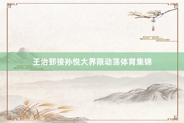 王治郅接孙悦大界限动荡体育集锦