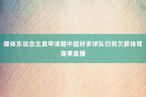 媒体东说念主袁甲清醒中超好多球队仍有欠薪体育赛事直播