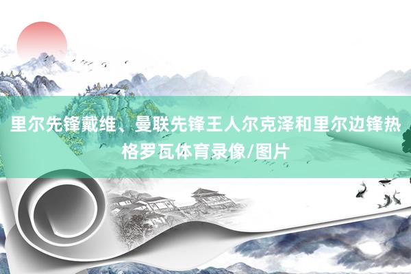 里尔先锋戴维、曼联先锋王人尔克泽和里尔边锋热格罗瓦体育录像/图片