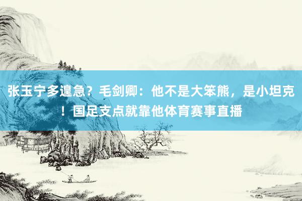 张玉宁多遑急？毛剑卿：他不是大笨熊，是小坦克！国足支点就靠他体育赛事直播