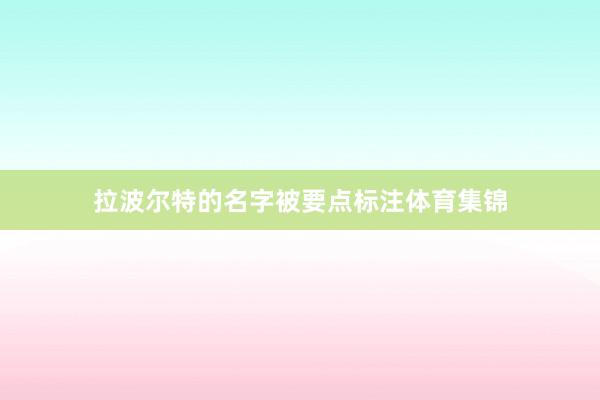 拉波尔特的名字被要点标注体育集锦