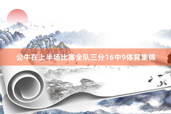 公牛在上半场比赛全队三分16中9体育集锦