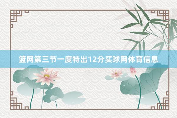 篮网第三节一度特出12分买球网体育信息
