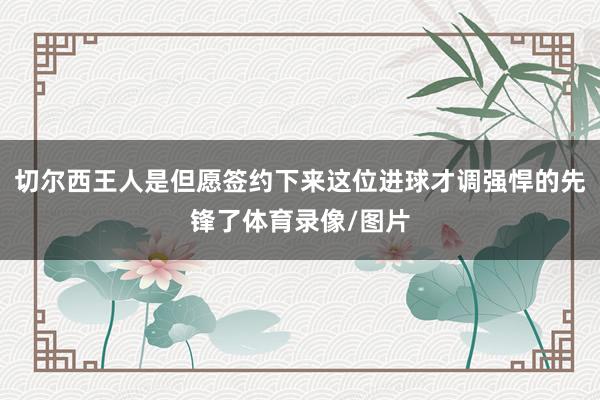 切尔西王人是但愿签约下来这位进球才调强悍的先锋了体育录像/图片