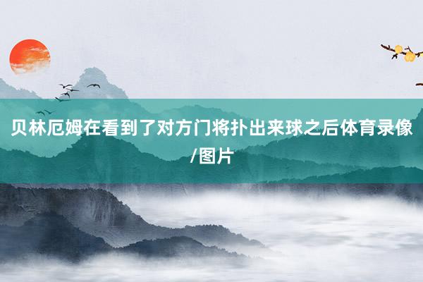贝林厄姆在看到了对方门将扑出来球之后体育录像/图片