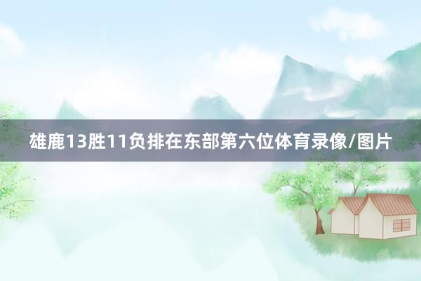 雄鹿13胜11负排在东部第六位体育录像/图片