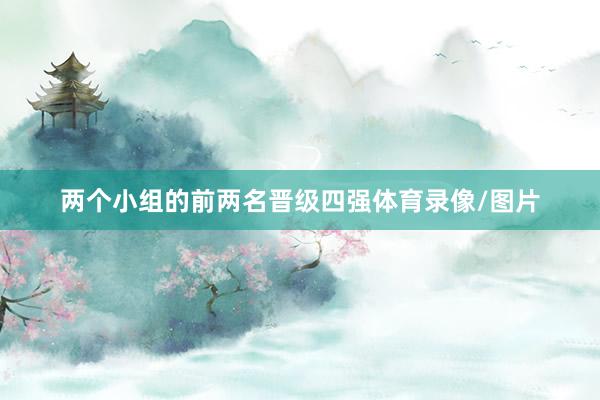 两个小组的前两名晋级四强体育录像/图片