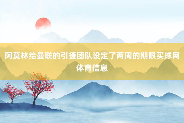 阿莫林给曼联的引援团队设定了两周的期限买球网体育信息