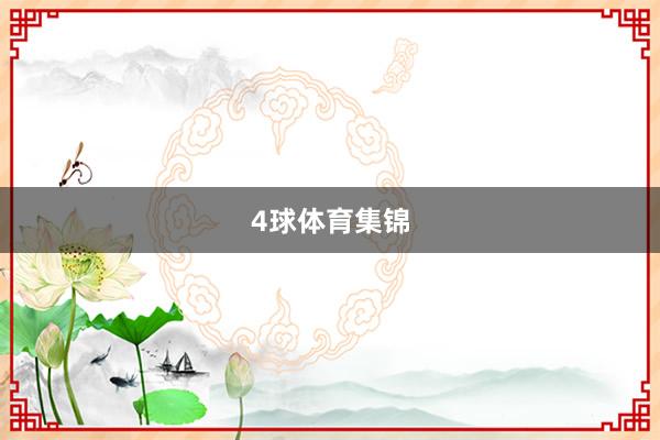 4球体育集锦
