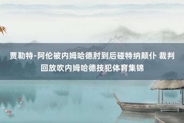 贾勒特-阿伦被内姆哈德肘到后碰特纳颠仆 裁判回放吹内姆哈德技犯体育集锦
