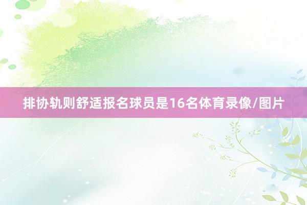 排协轨则舒适报名球员是16名体育录像/图片