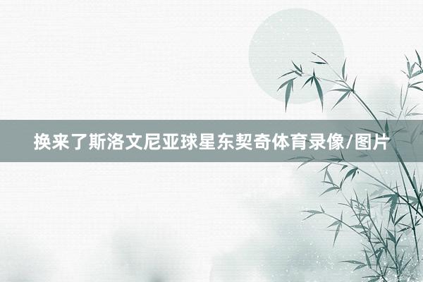换来了斯洛文尼亚球星东契奇体育录像/图片