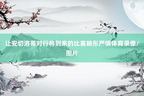 让安切洛蒂对行将到来的比赛畸形严慎体育录像/图片