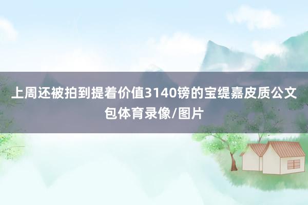 上周还被拍到提着价值3140镑的宝缇嘉皮质公文包体育录像/图片