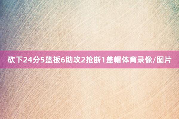 砍下24分5篮板6助攻2抢断1盖帽体育录像/图片