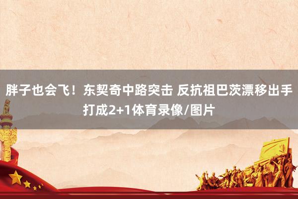 胖子也会飞!东契奇中路突击 反抗祖巴茨漂移出手打成2+1体育录像/图片