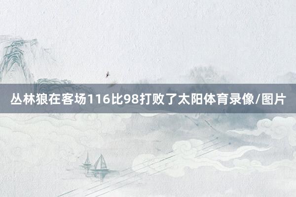 丛林狼在客场116比98打败了太阳体育录像/图片