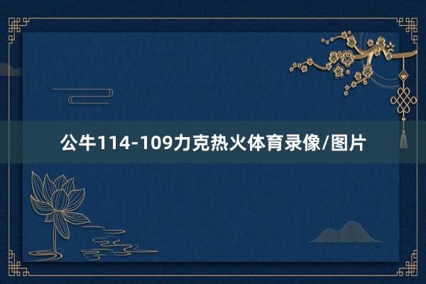 公牛114-109力克热火体育录像/图片