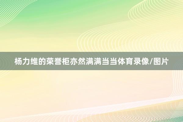 杨力维的荣誉柜亦然满满当当体育录像/图片