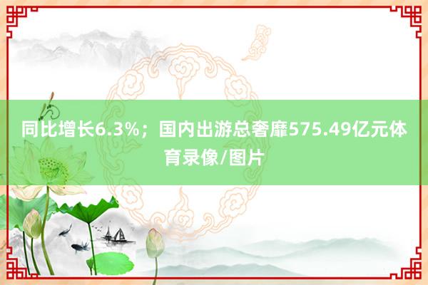 同比增长6.3%；国内出游总奢靡575.49亿元体育录像/图片