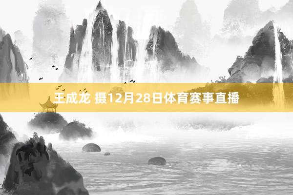 王成龙 摄12月28日体育赛事直播