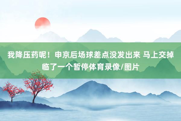 我降压药呢！申京后场球差点没发出来 马上交掉临了一个暂停体育录像/图片