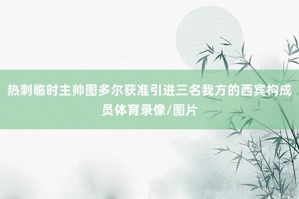 热刺临时主帅图多尔获准引进三名我方的西宾构成员体育录像/图片